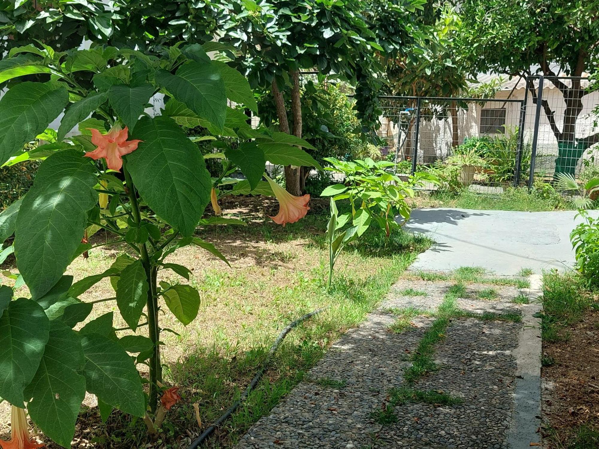 Sonia Villa Chania  Ngoại thất bức ảnh